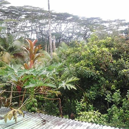 Lava Tree Tropic Inn Pahoa Zewnętrze zdjęcie