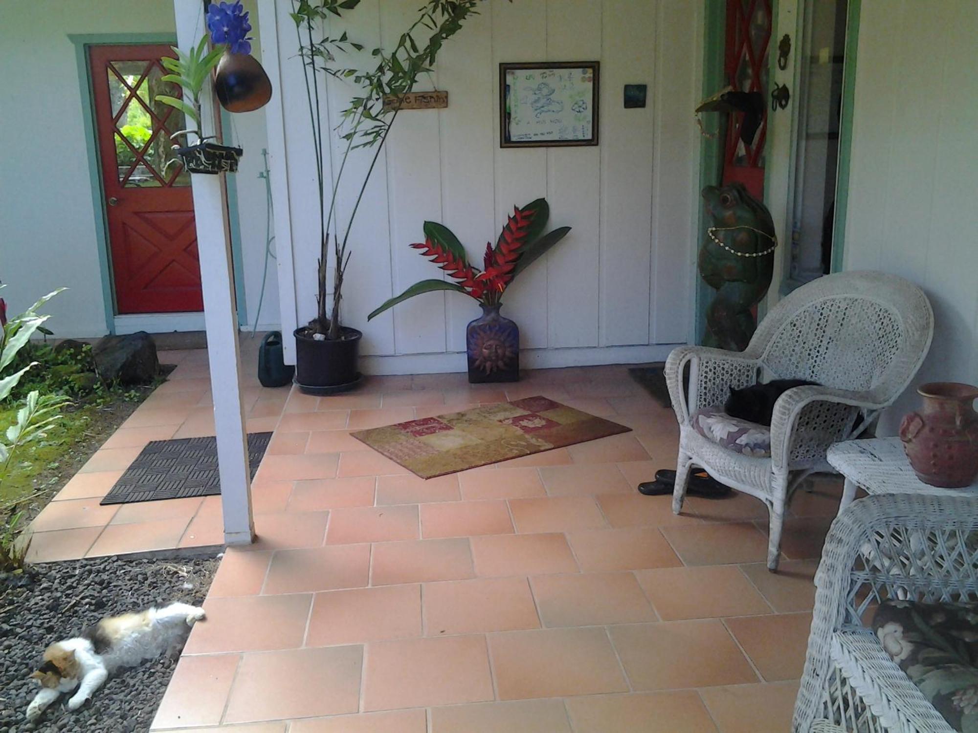 Lava Tree Tropic Inn Pahoa Zewnętrze zdjęcie