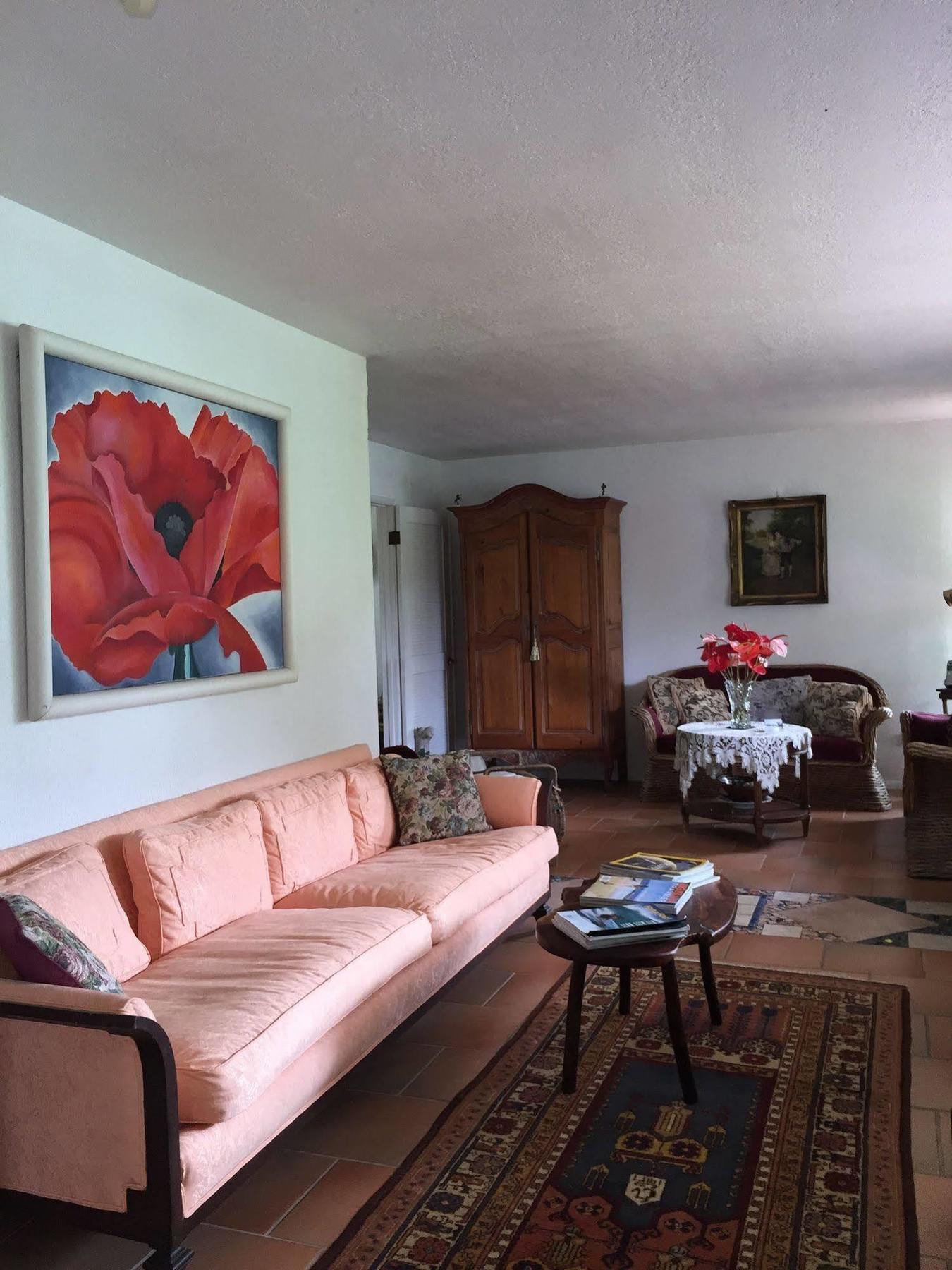 Lava Tree Tropic Inn Pahoa Zewnętrze zdjęcie